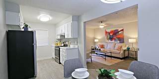 Rise Skyview Gallery 33