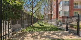 Core Lindbergh Gallery 33