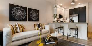 Markana Uptown Gallery 9