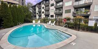 Rare Kirkland Condo on the Juanita Waterfront! Available August 1st, 2026! Gallery 22