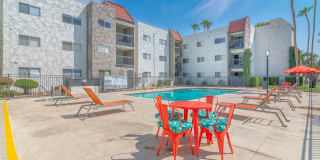 THE MODERN CACTUS Gallery 8