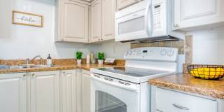 The Carlyle Gallery 14