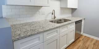 Creekside Canopy Gallery 9