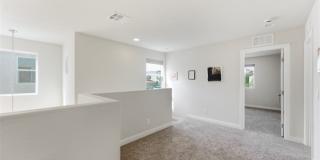 32 Lily Grove Road Gallery 14