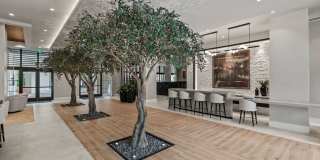 The Point at Miramar Gallery 9