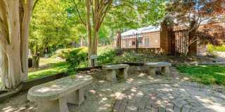 Trellis University Hill Gallery 15