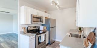 Rise at the Palms Gallery 16