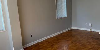 Spacious Studio Apartment in Cleveland Park Gallery 11