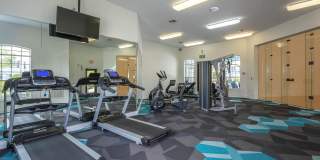 Vintage at Plantation Bay Gallery 22