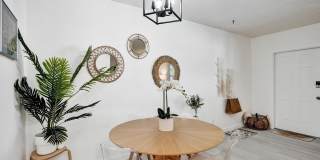 4658 Bougainvilla Drive unit: 52 Gallery 8