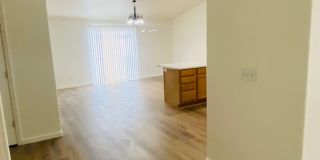 Gorgeous Remodeled Spacious 4 bedroom Gallery 11