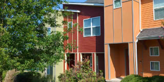 3540 Steffisburg Drive Gallery 1