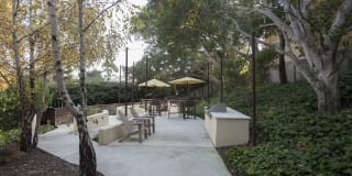 Pacific Vista Gallery 12