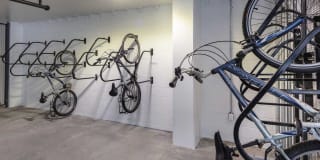 Avalon 555 President Gallery 39