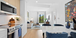 Everly Gallery 29