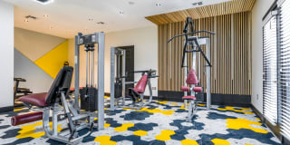 The Luxe of Southaven Gallery 23