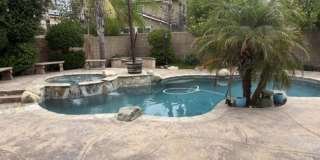Olive Gallery 10
