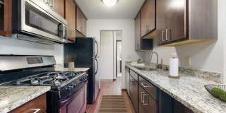 The Fremont Gallery 21