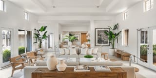 Coconut Palm Club Gallery 19