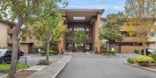 1327 Webster St #B305 - Studio | 1 bath | Condo 1327 Webster St #B305 - Studio | 1 bath | Condo Gallery 1