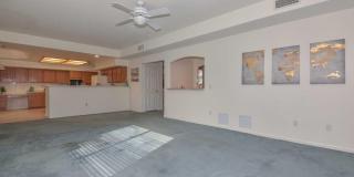 5413 W Fallen Leaf Lane Gallery 14