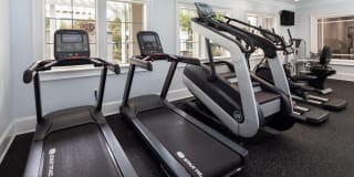 Cavalier @ 100 Gallery 12