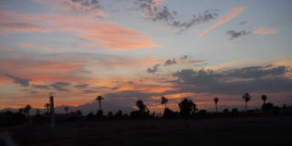 49544 Wayne Street Gallery 68