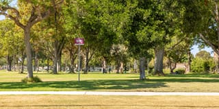 Bay Hill Apartments Gallery 27