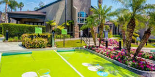 Sofi Laguna Hills Gallery 14