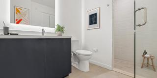 Evani 3223 Wilshire Gallery 6