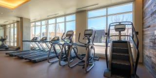 Modera Belmont Gallery 29