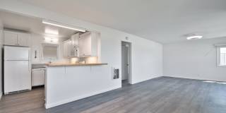 t120 Gallery 9