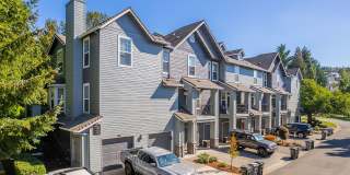 Summerlinn Gallery 45