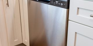 Paugus Woods Gallery 14