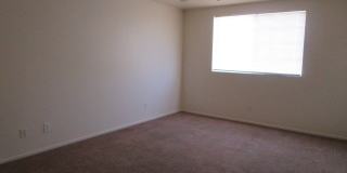 8449 Sewards Bluff Avenue Gallery 13