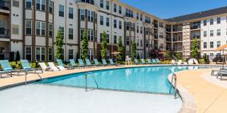 Allure Apollo Gallery 6