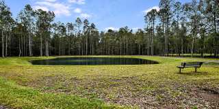 Grand Cypress Gallery 31