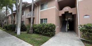 3211 Sabal Palm Manor Gallery 1