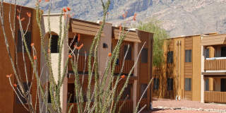 Elevation Apartments Gallery 6