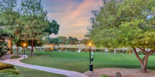 Reflections at Gila Springs Gallery 41