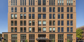 Borealis North Loop Gallery 3