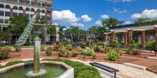 Elon at Winter Park Gallery 24