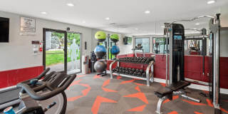 ReNEW Foothills Gallery 25