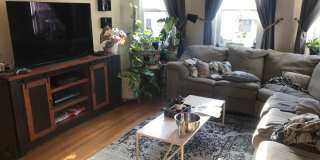37 Orkney Rd #1A Boston MA 02135 Gallery 3