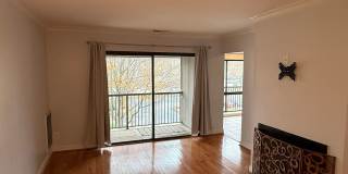 Prime Location- Two Bedroom Condo Gallery 5
