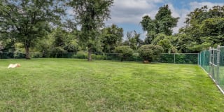 The Flats at Fox Hill Gallery 35