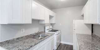 Swift at Riverdale Park Gallery 4