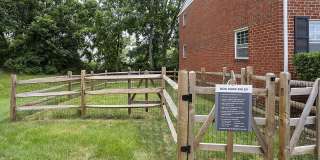 Madison Court Gallery 11