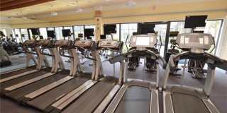 8597 Via Garibaldi Cir unit: 301 Gallery 41