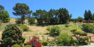 29 Thorndale Place Gallery 42